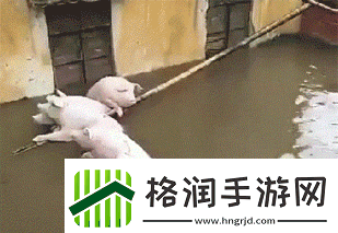 第一次穿高跟鞋的你