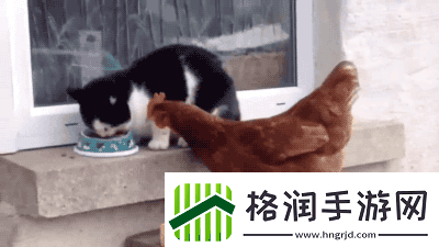 第一次穿高跟鞋的你