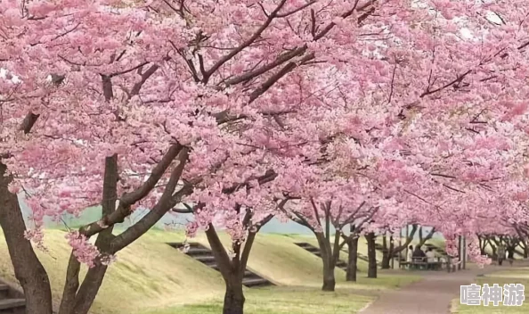 樱花动漫imomoe