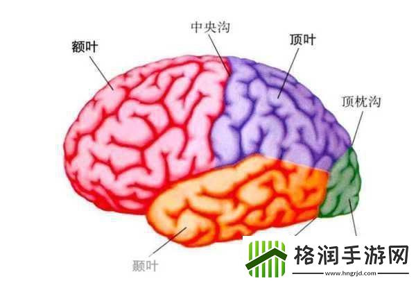 分裂之门2震撼来袭三大派系能力全揭秘！