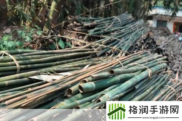 探寻蜀纸之乡精湛竹纸制造工艺的传奇之旅