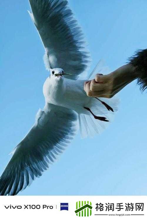 国产手机拍视频推荐