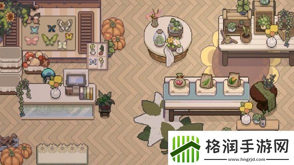 体验西南少数民族风情