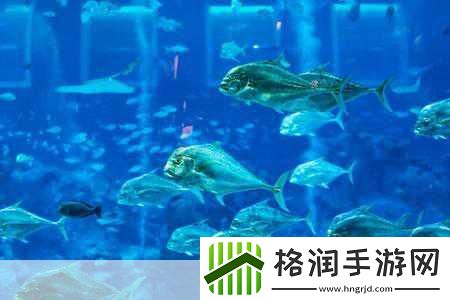 希望传说神秘海底世界惊艳亮相