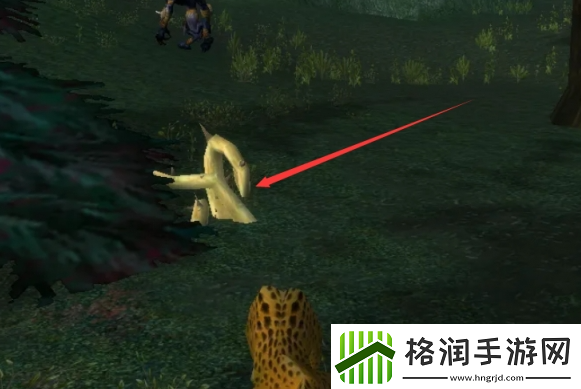 魔兽世界雨燕草如何获取