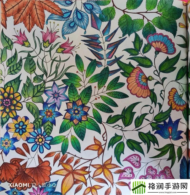 秘密花园时尚的伪命题