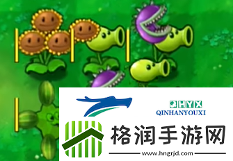 植物大战僵尸嫁接版怎么玩