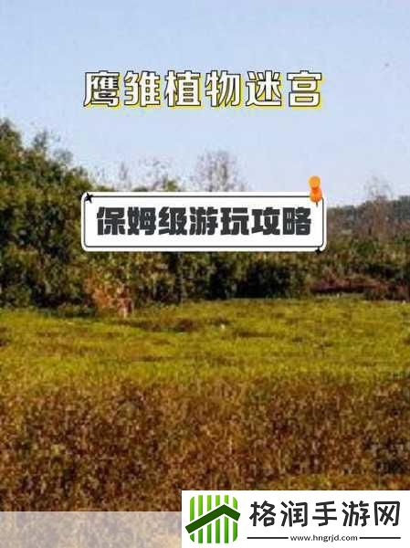 迷宫探险新纪元