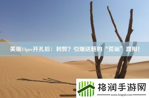 美版14pro开孔后