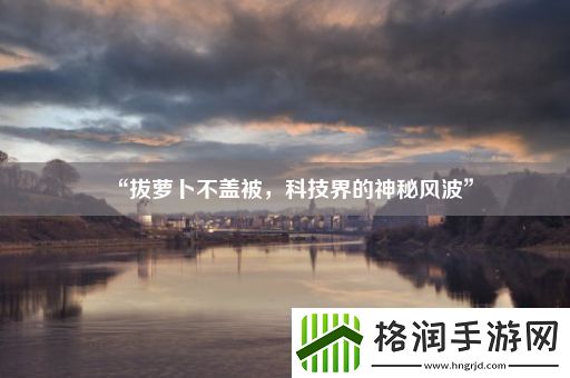 “拔萝卜不盖被