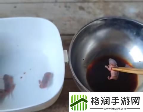 猎奇美食