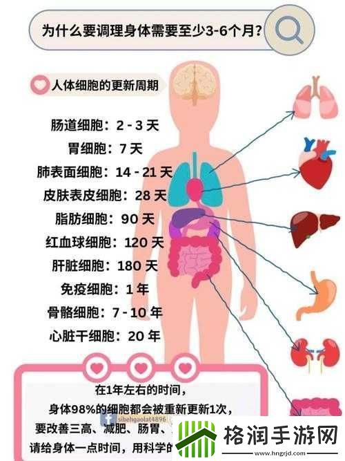 videocodecwmvideodecoder