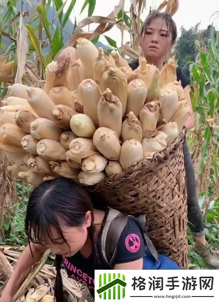 农夫“果儿”奇遇记