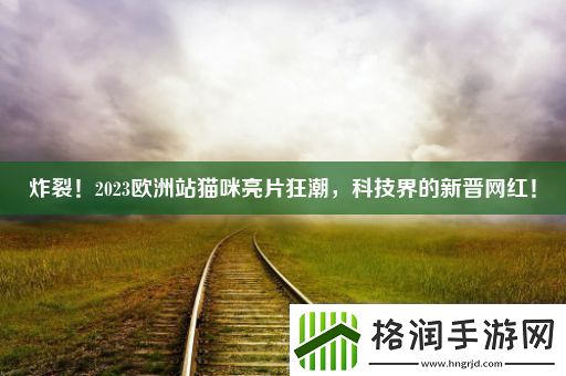 炸裂！2023欧洲站猫咪亮片狂潮科技界的新晋网红！