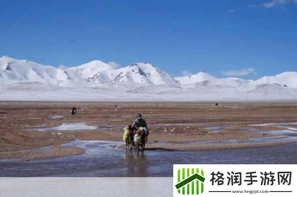 无人区探险