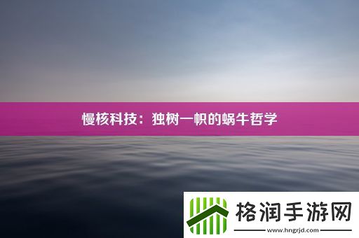 慢核科技
