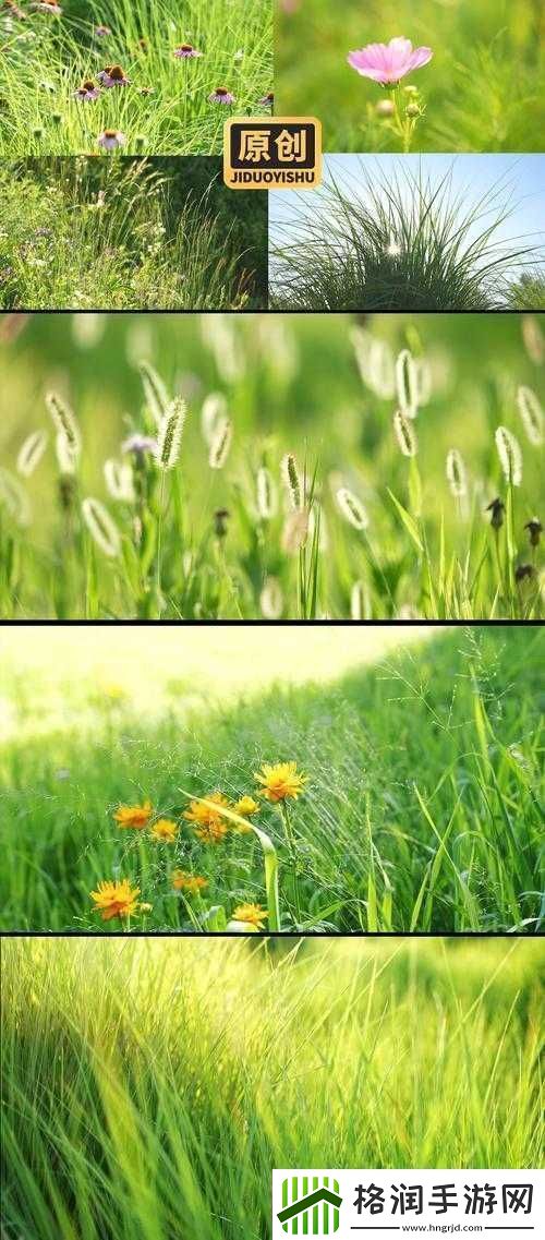 野花视频中文免费观看