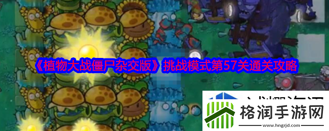 每日活动参与秘诀