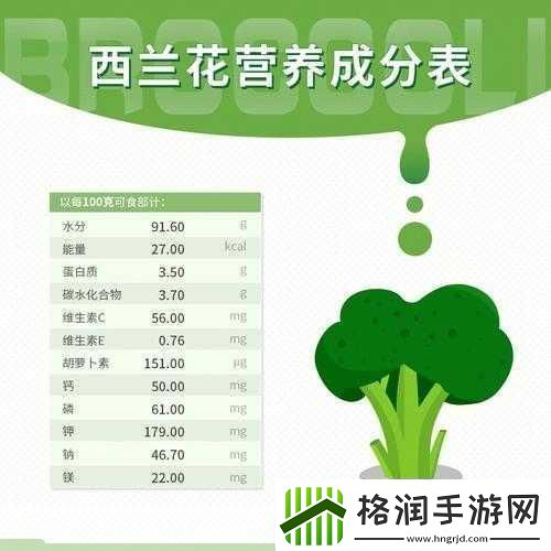 健身人士钟爱的花椰菜西蓝花属于什么科探索蔬菜界的健身秘密