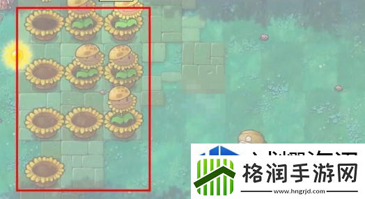 每日活动参与秘诀