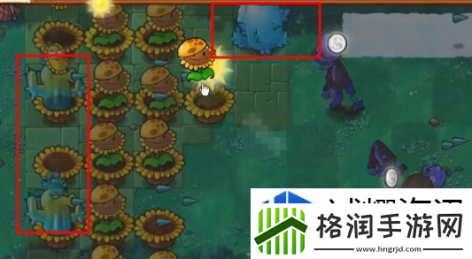 每日活动参与秘诀