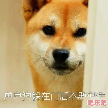 女啪啪www女高清