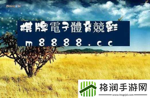 探秘欧亚尺码专线欧洲