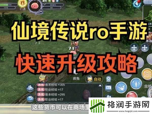 仙境传说RO手游快速升级秘籍