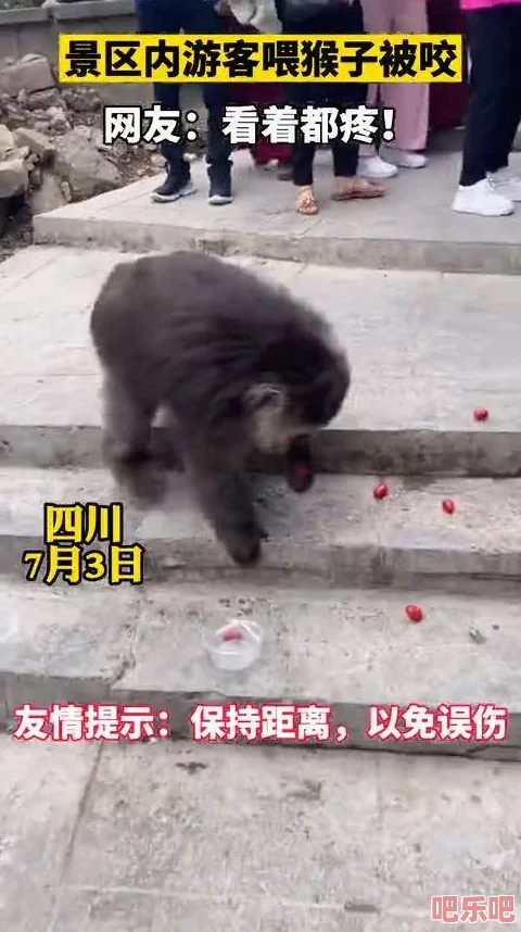 两人生猴子全程无被子黄