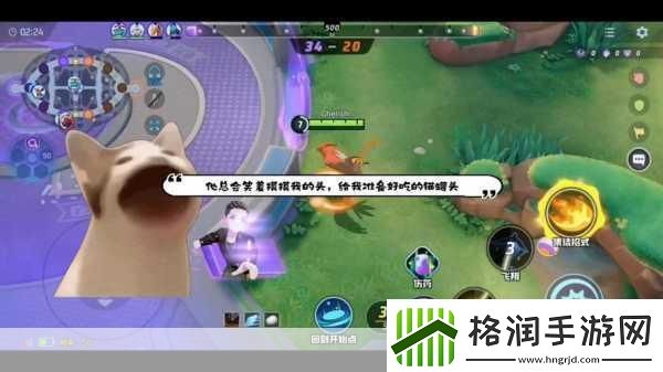 宝可梦大集结二周年庆典