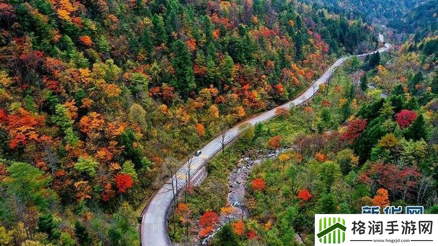 她开始慢迎迎合骊珠迎龙之解析