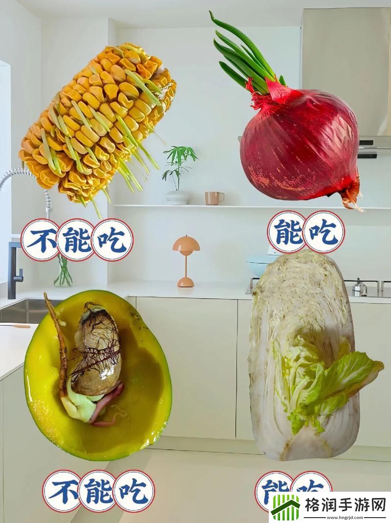 老公每天吃我小花园中的蔬菜水果