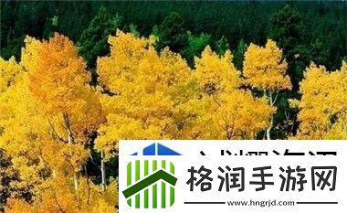 B站禁止转播404入口