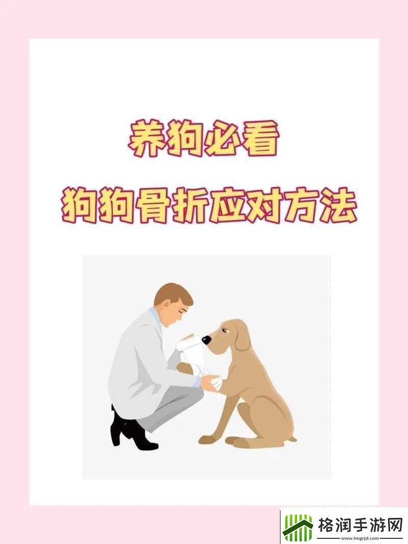 狗卡私处怎么办