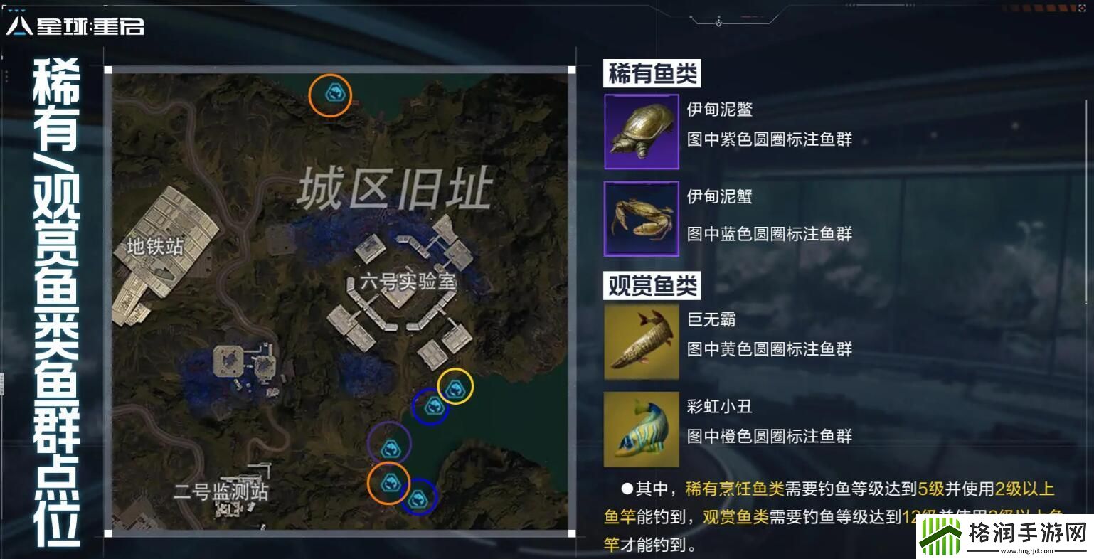 星球重启稀有鱼群点位大全