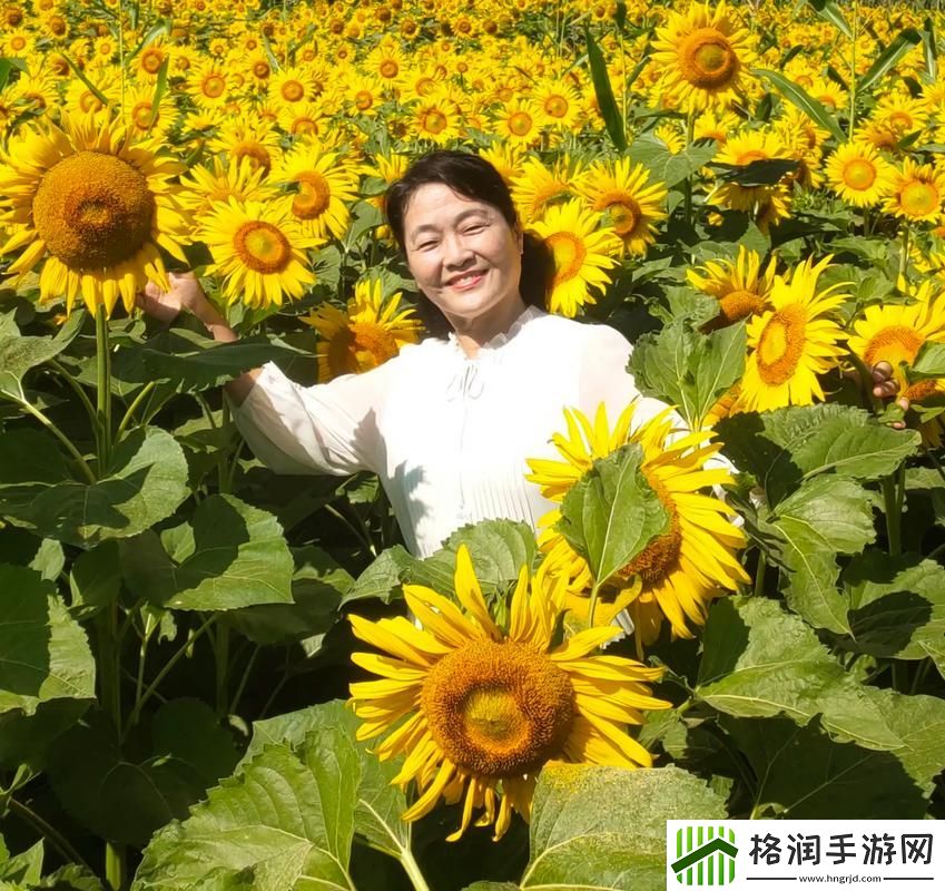 国产精品人成视频免费向日葵