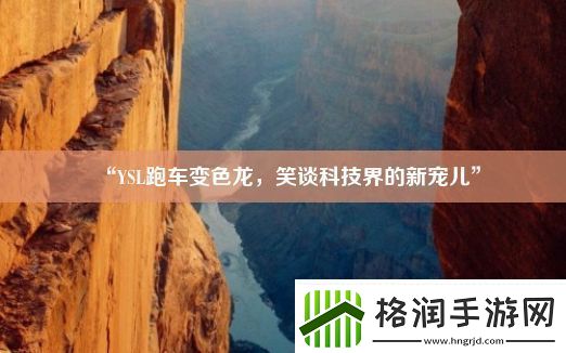 “YSL跑车变色龙