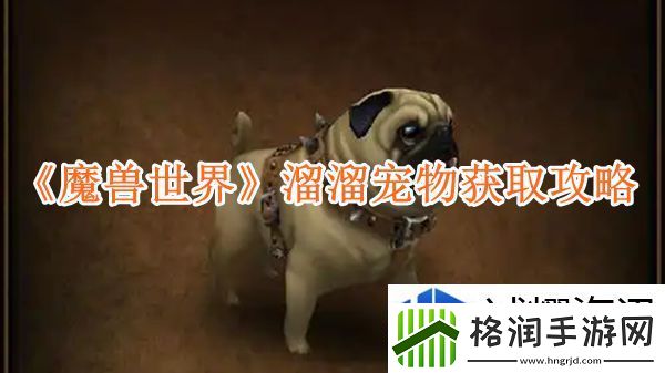 魔兽世界溜溜宠物获取攻略