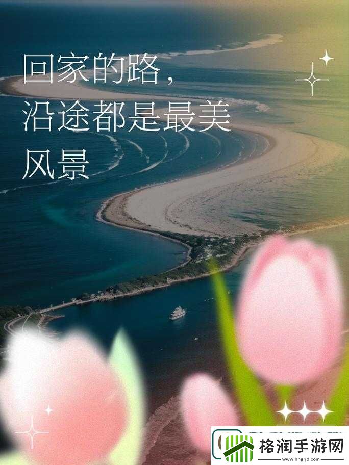 海角社区回家的路