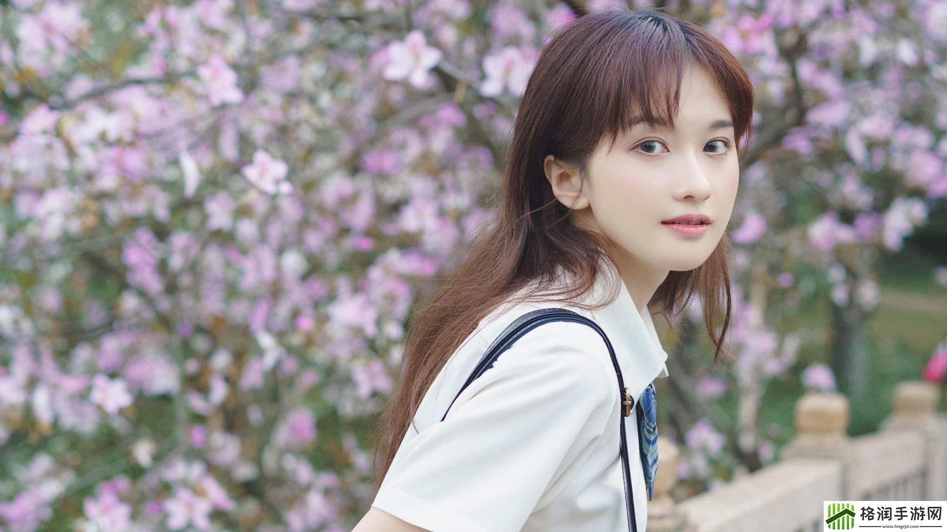 老牛影院免费观看电视剧的优点不容错过