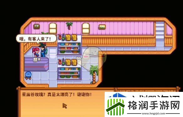 星露谷物语海盗的妻子任务怎么做