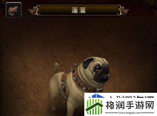 魔兽世界溜溜宠物获取攻略