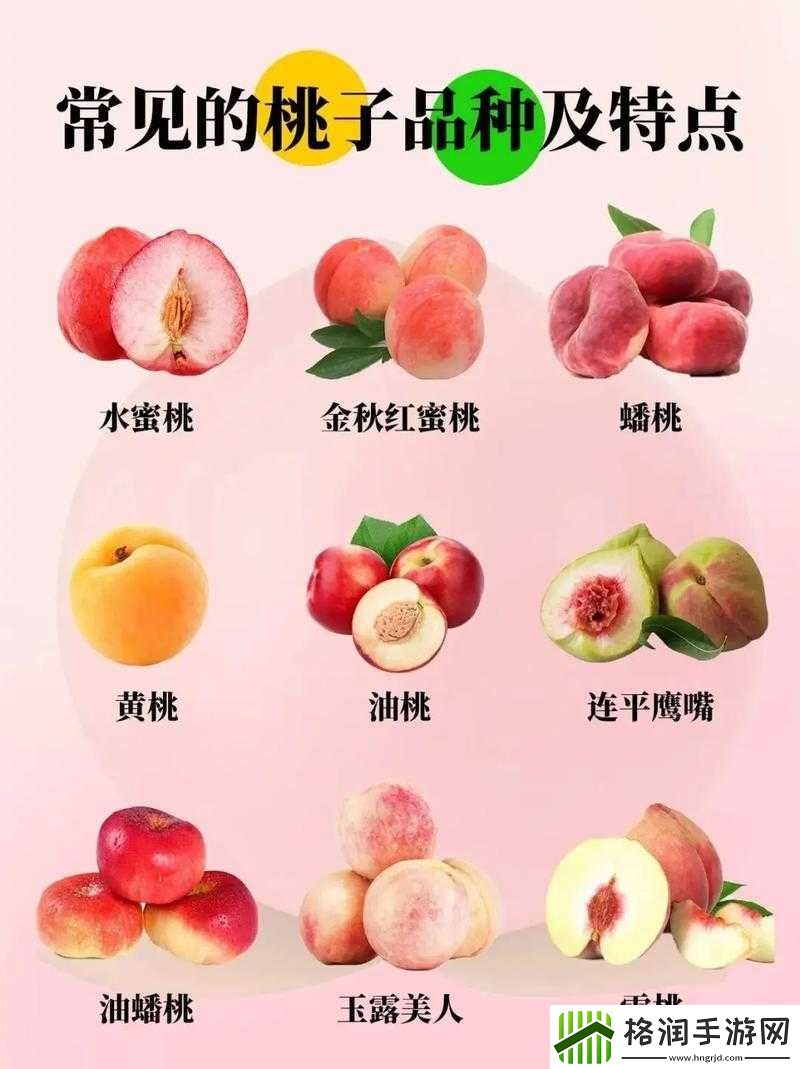 蜜桃产品一二三产区特色及优势介绍