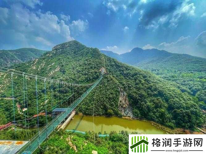 手从小腹经旅程至丛林的象征寓意