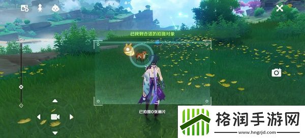 原神稻妻特色动物在哪里