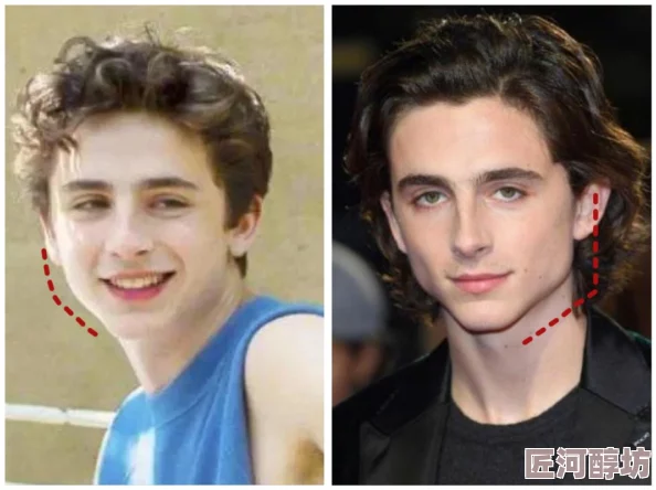 欧美成年人视频在线观看