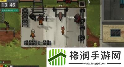 动物迷城签名棒球获得方法介绍