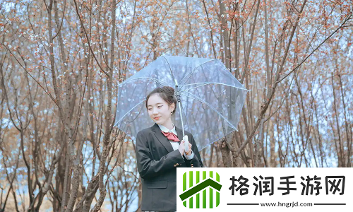 家庭纽带与和谐