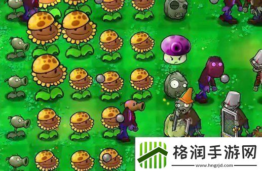 植物大战僵尸杂交版挑战第40关如何闯关植物大战僵尸杂交版挑战模式第40关通关攻略