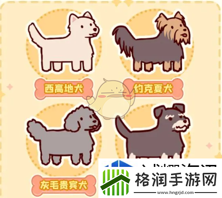 我的休闲时光完成萌宠乐园课程奖励有什么